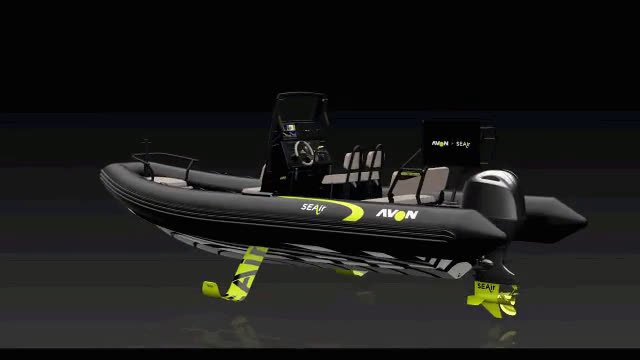 Flying Rib 2.mp4